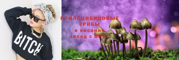 трава Алзамай