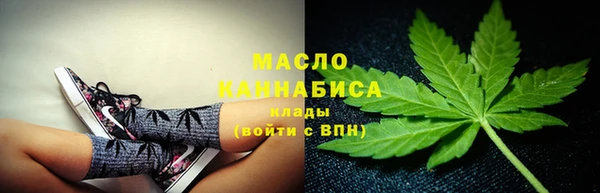крисы Абаза