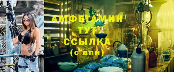 крисы Абаза
