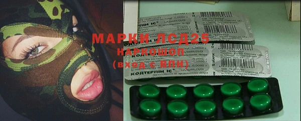 крисы Абаза